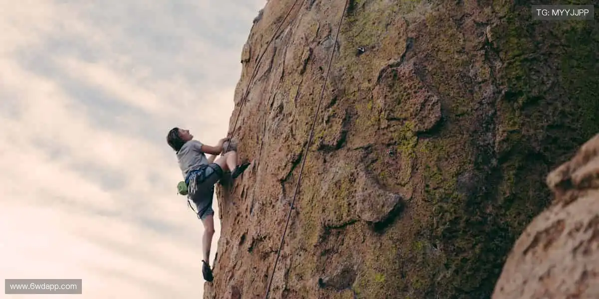 🎁 正版授权,独家周边!用潮流装备,彰显你的热爱👕🏆